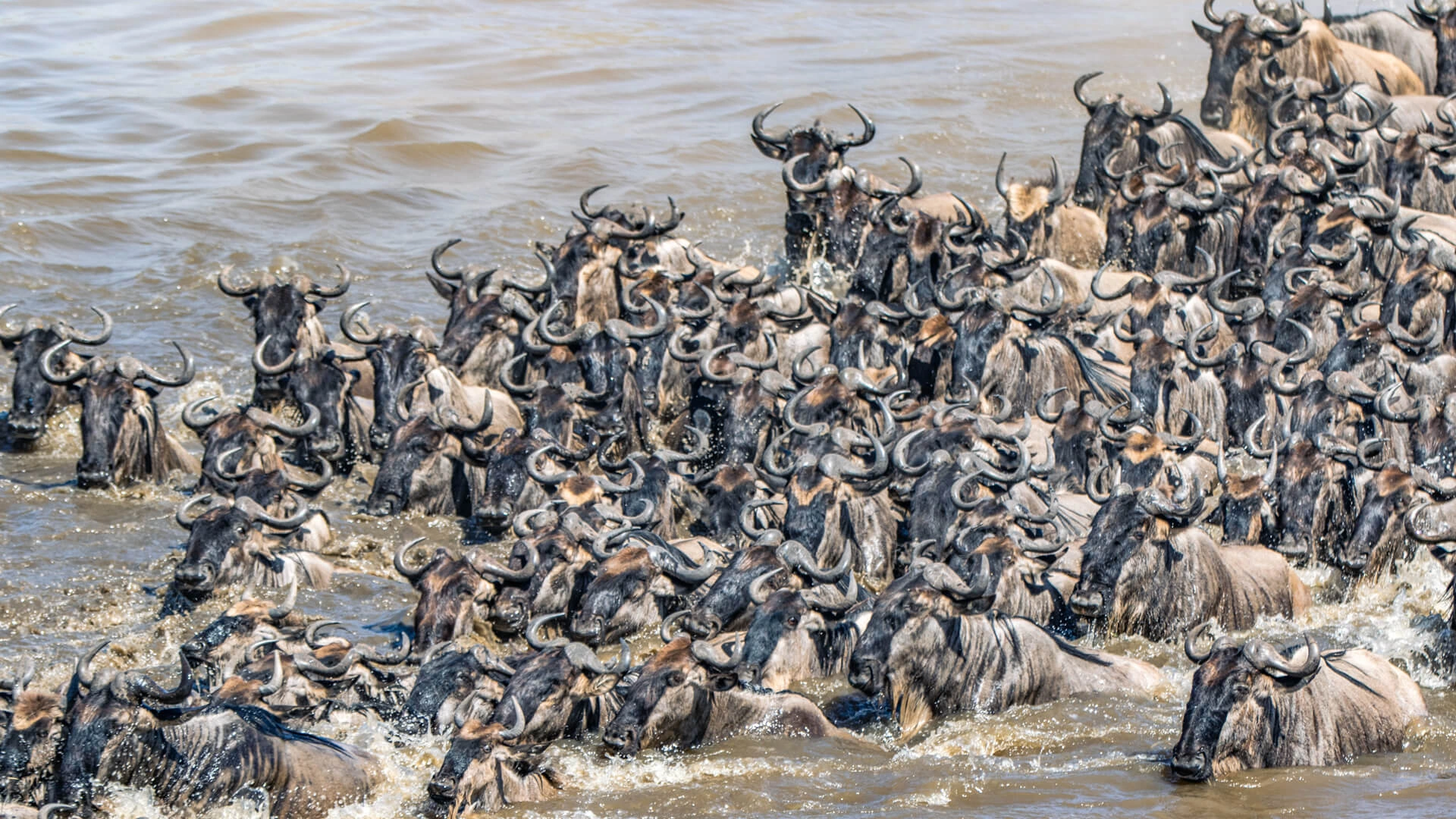 Private migration safari planning in East Africa