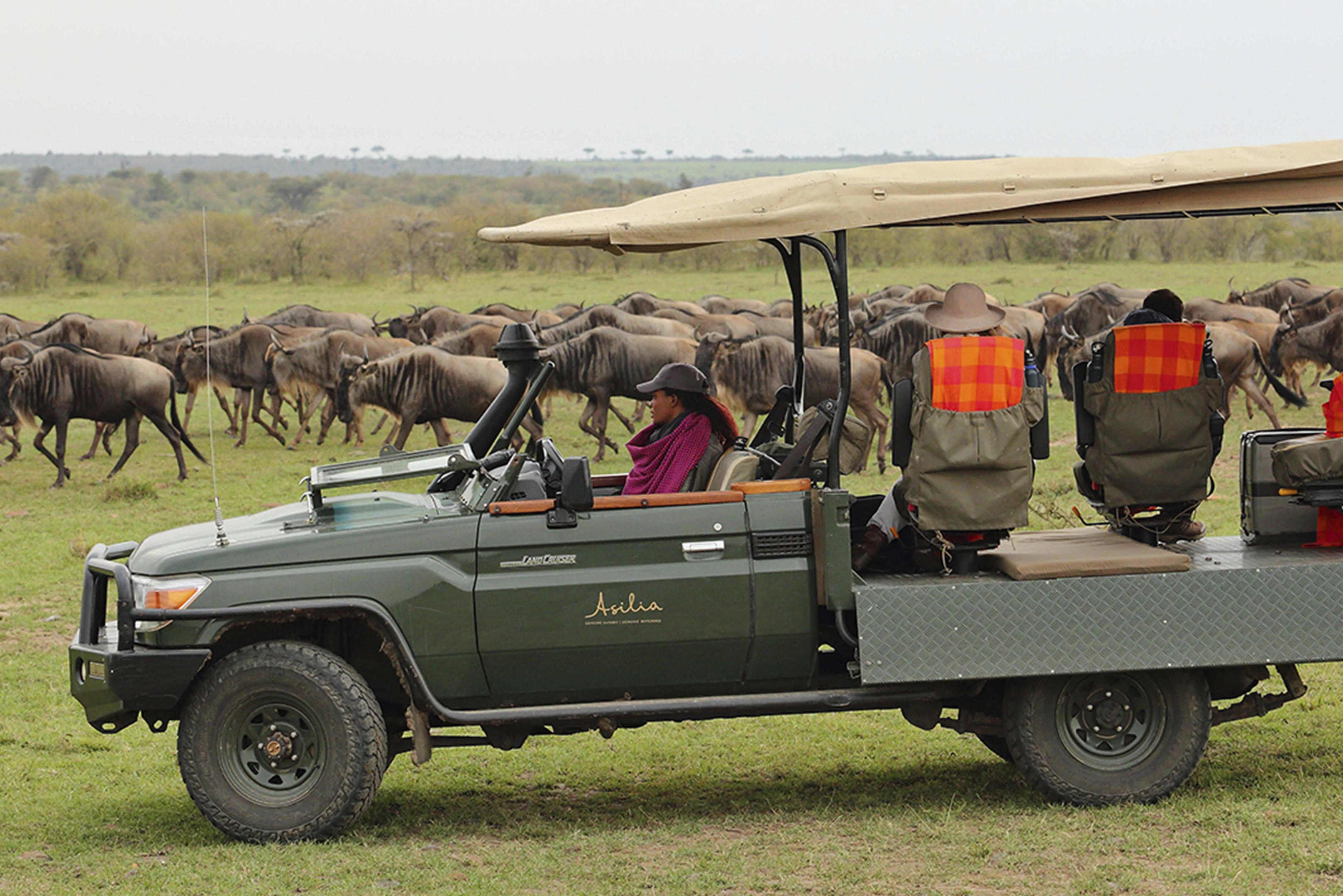 7 days Masai Mara great migration safari in Kenya